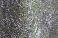 New Herrington fibreglass roof work